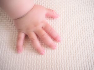 赤ちゃんの手の写真