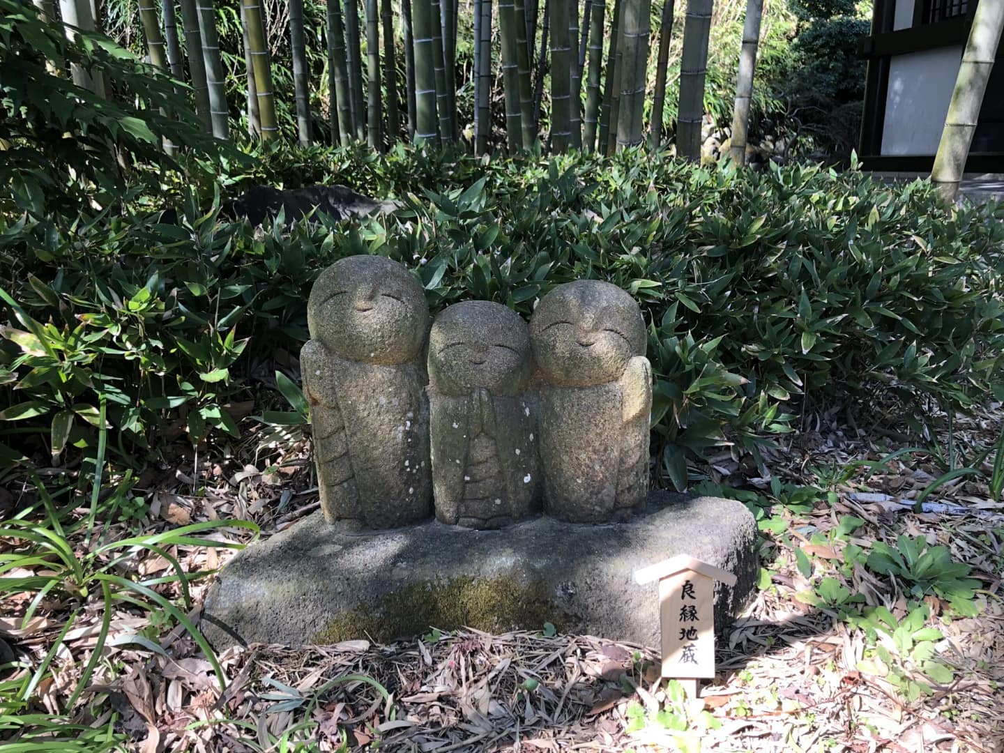 IMG 8180 コピー Scaled