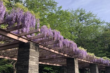 お白湯のパワー
