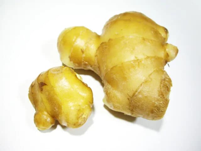 %E3%82%B7%E3%83%A7%E3%82%A6%E3%82%AC Jpg